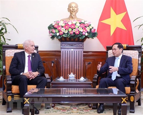 Tiếp tục nâng cao hiệu quả hợp tác về ngoại giao giữa Việt Nam và Cuba